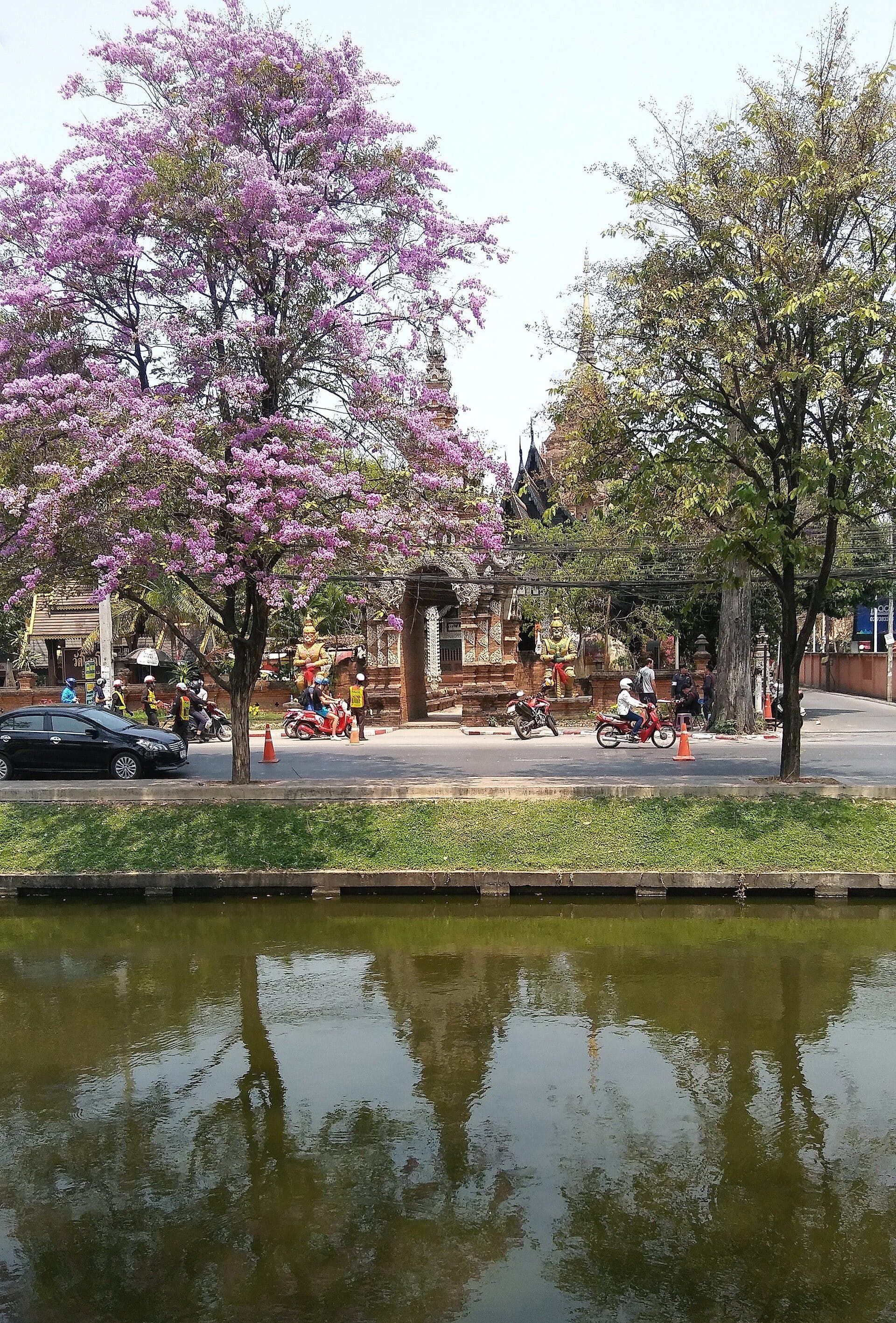 Old City