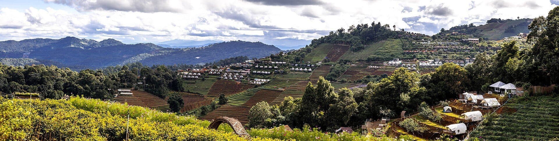 Mae Rim
